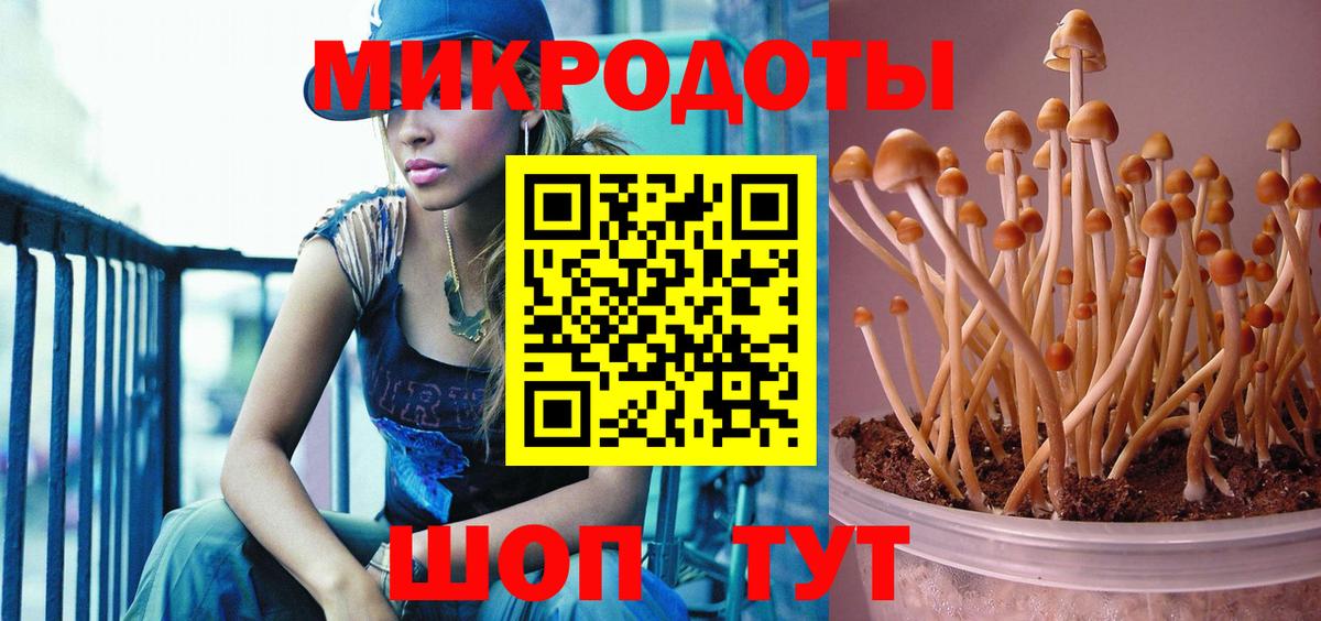 Псилоцибиновые грибы MAGIC MUSHROOMS  Псилоцибиновые грибы MAGIC MUSHROOMS  Соль-Илецк  Вход с VPN 